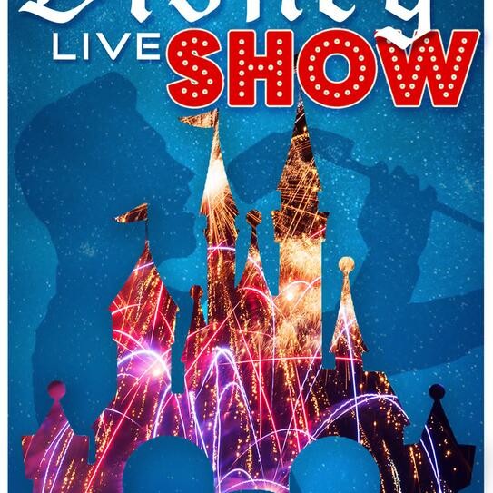 Disney Live Show
