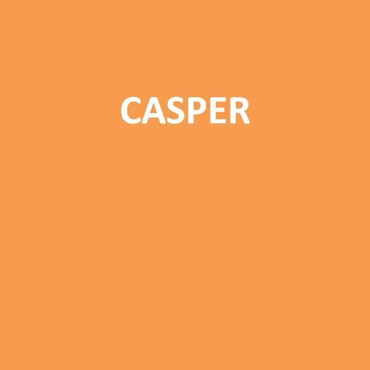 CASPER